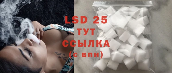 spice Няндома