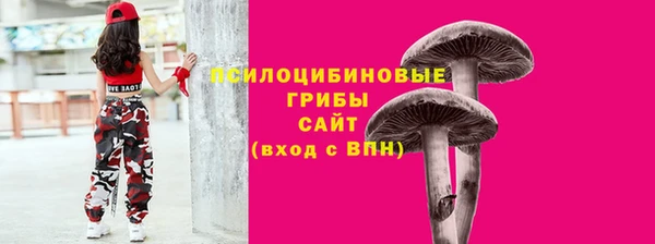 бутират Нягань