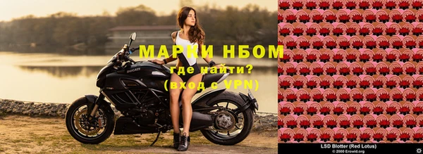 spice Няндома
