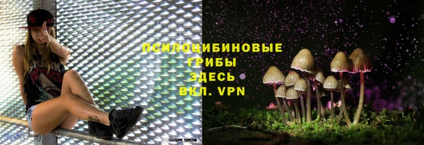 spice Няндома
