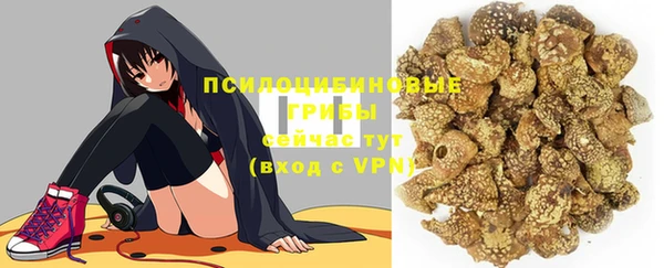 прущий лед Новозыбков
