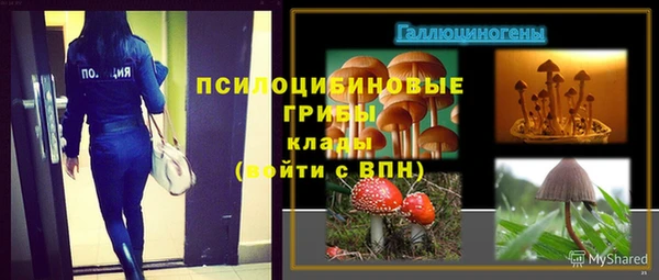 бутират Нягань
